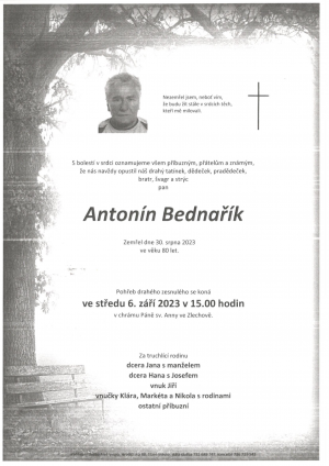 bednarik